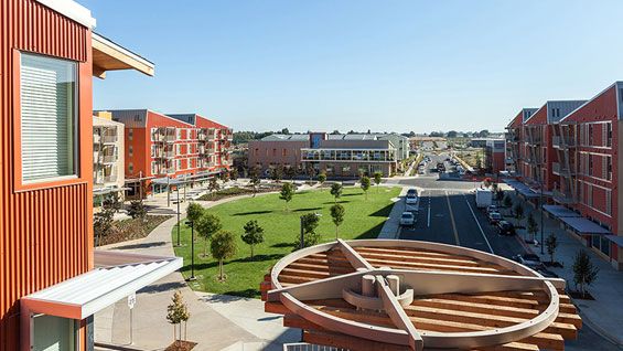 7 University of California—Davis